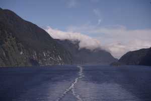 FIORDLAND-NATIONAL-PARK-2019 (255)